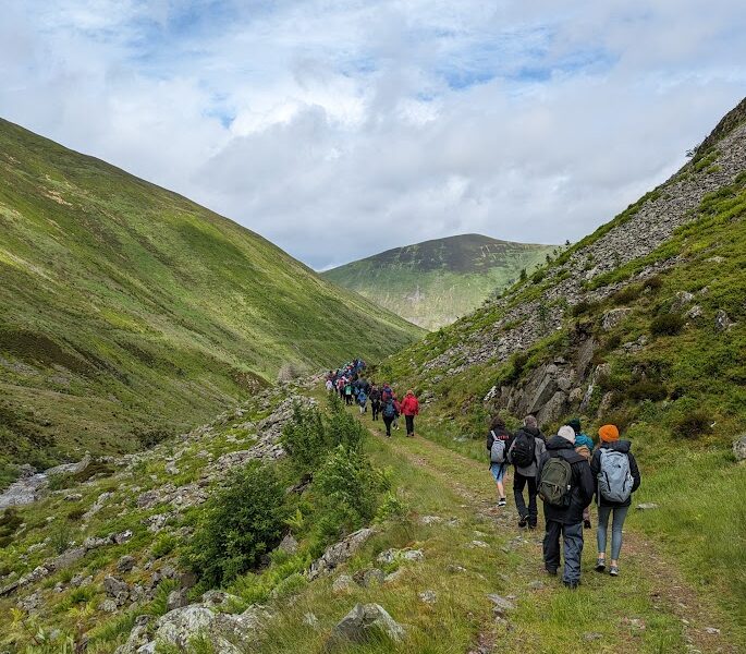 Reviving the Wild Heart Planting Day at Talla