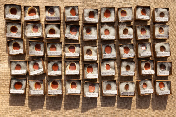 On a table sits rows of small cardboard boxes full of cotton wool and paint testers of colours from the sandstone bricks of the Old Berwick Bridge.