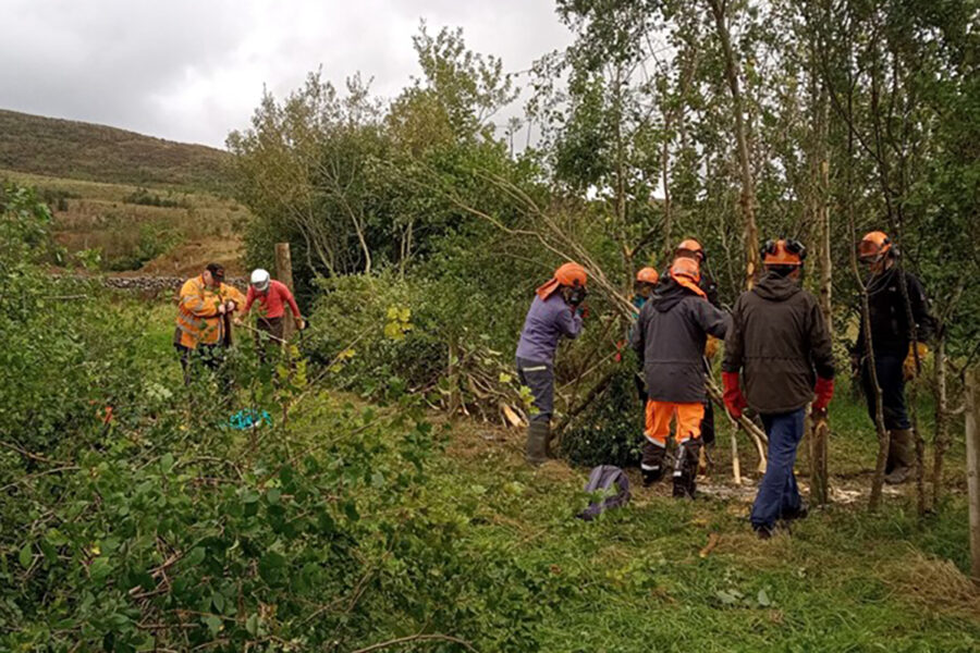 Orchard Management and Apple Pruning Workshop