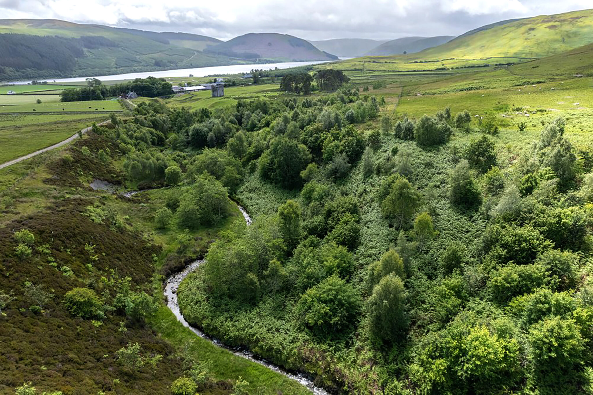Woodlands for Wildlife & Water