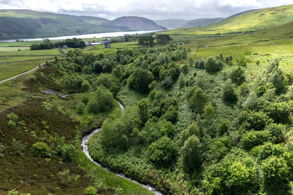 Woodlands for Wildlife & Water