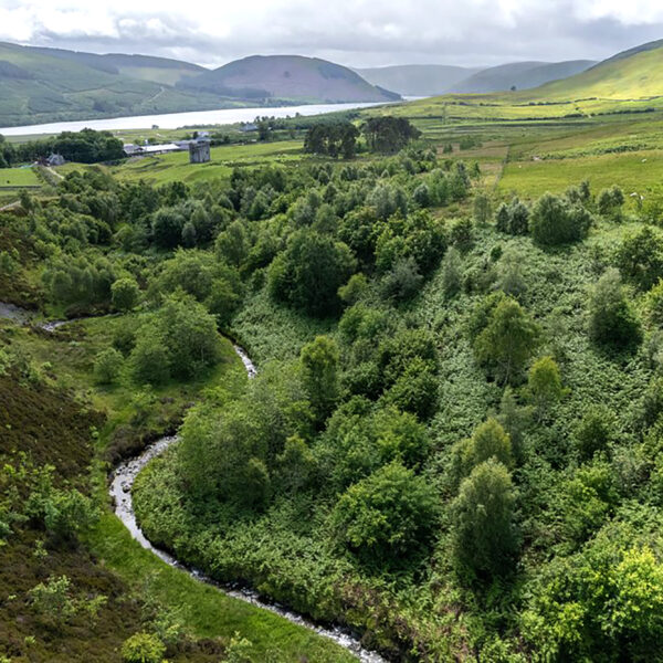 Woodlands for Wildlife & Water