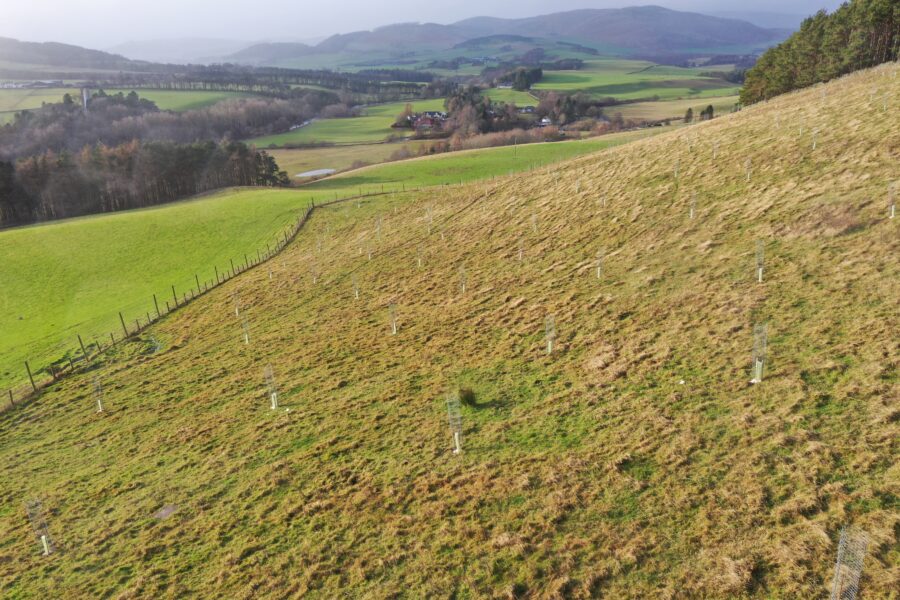 Borders farm leads the way with large-scale agroforestry initiative
