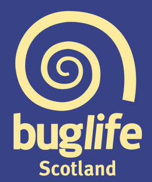 Buglife logo