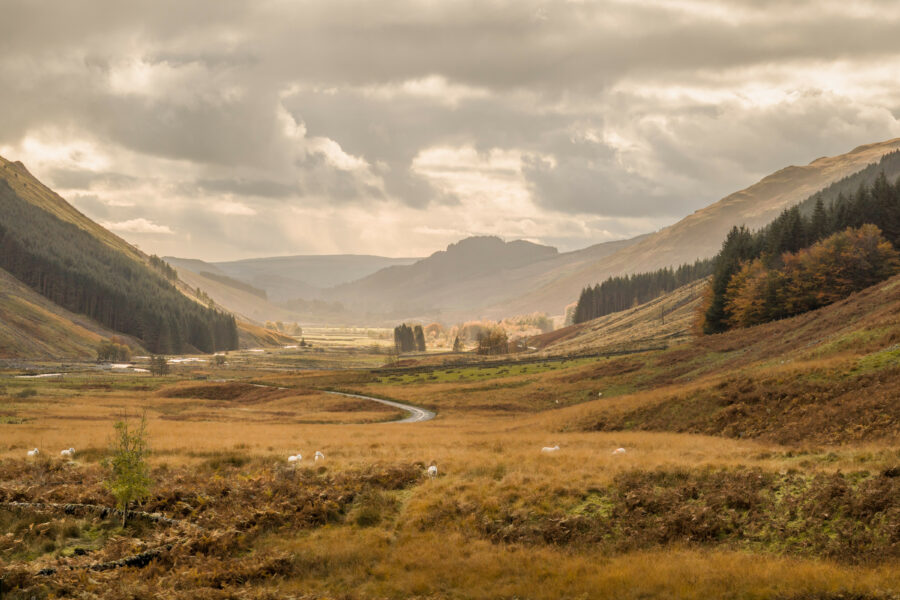 Moffatdale landscape