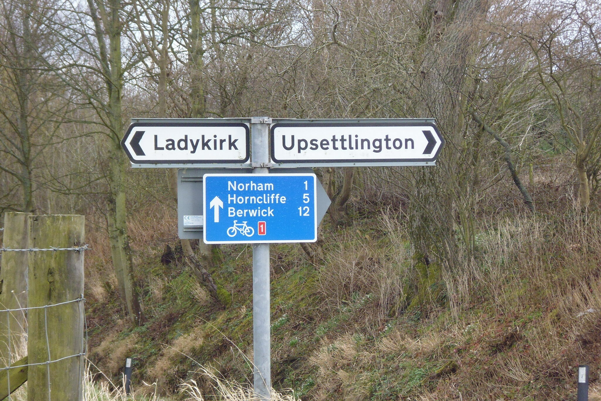 Place-names Workshop with Dr Eila Williamson