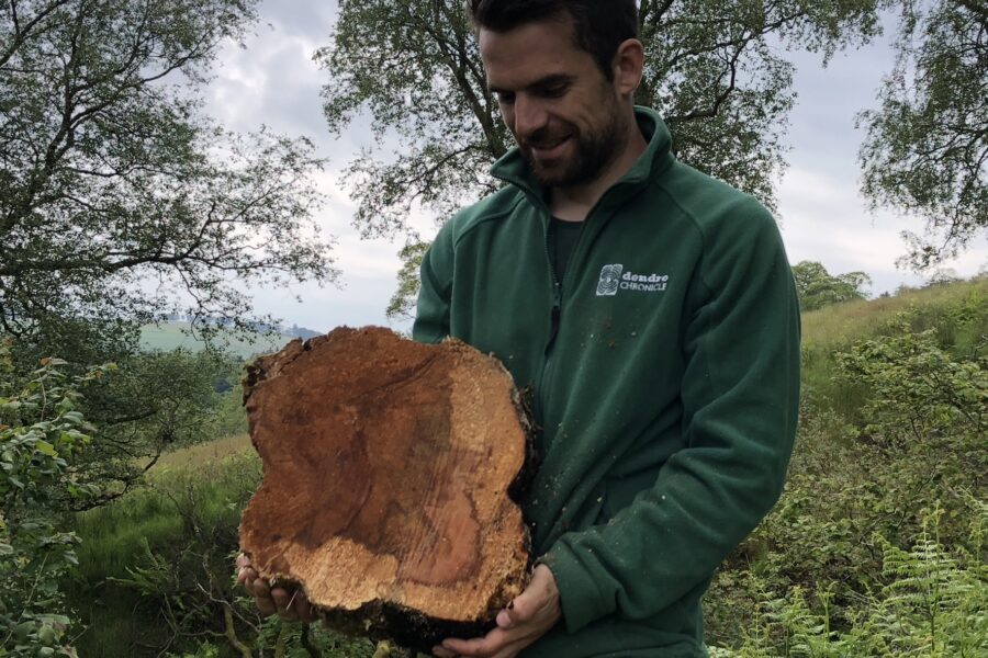 Woodland History and Dendrochronology Workshop