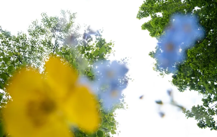 Terra Incognita IV – community picnic