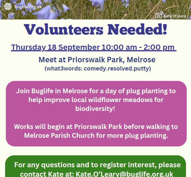 Melrose Plug Planting
