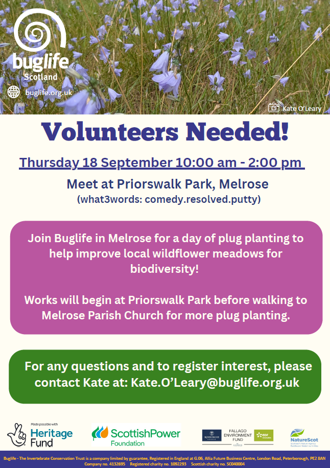 Melrose Plug Planting
