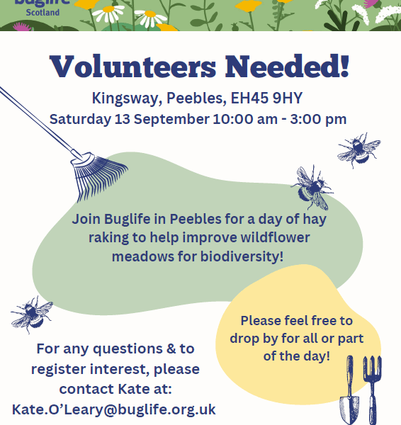 Kingsway Volunteer Raking