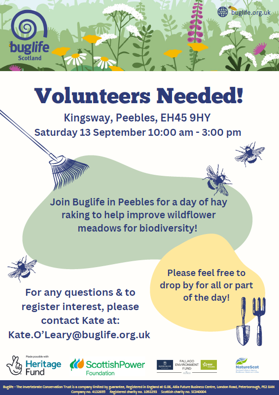 Kingsway Volunteer Raking