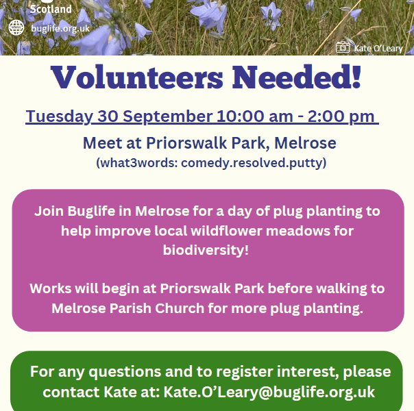Melrose Plug Planting