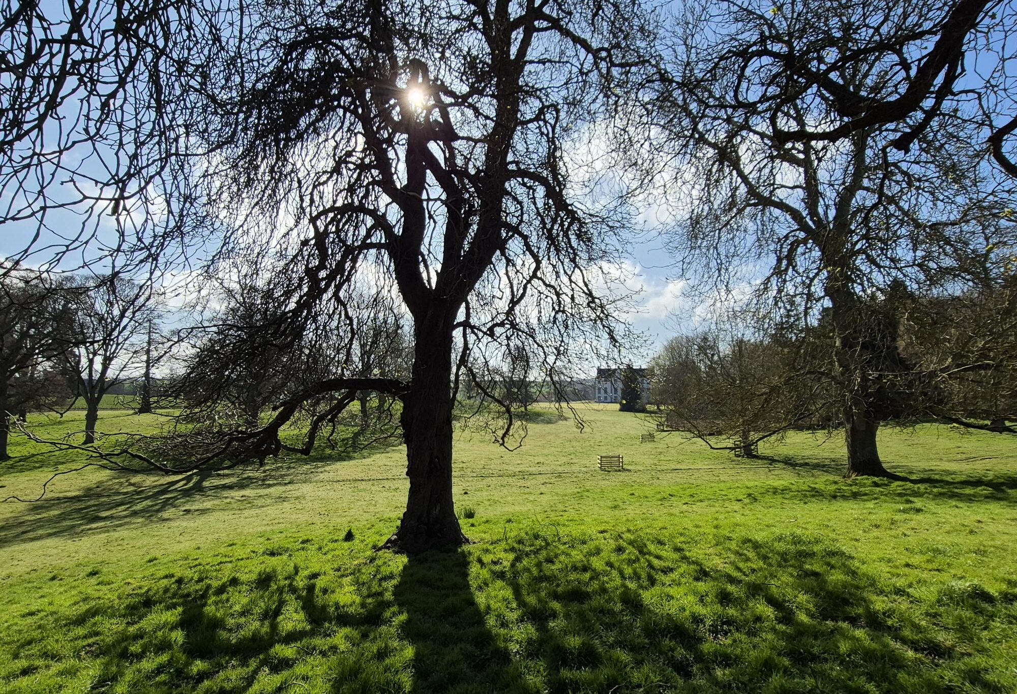 Designed Landscapes