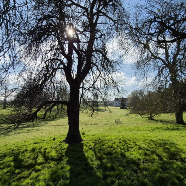 Designed Landscapes