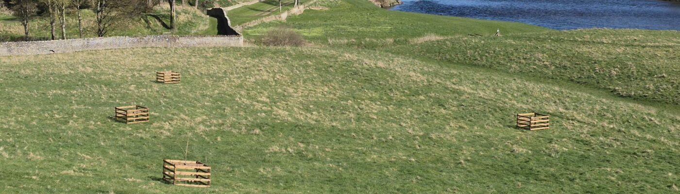 Designed Landscapes – Milne Graden