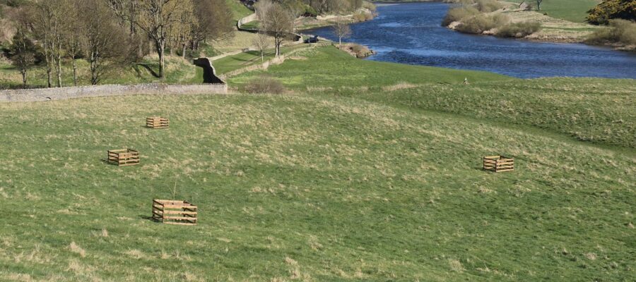 Designed Landscapes – Milne Graden