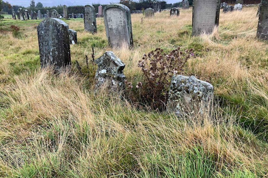 Birgham Cemetery Survey, 10-11 October