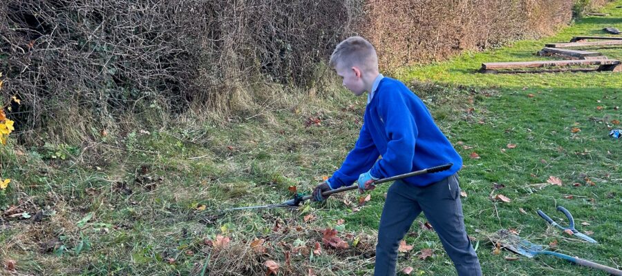 St Boswells Primary School Green Space Project