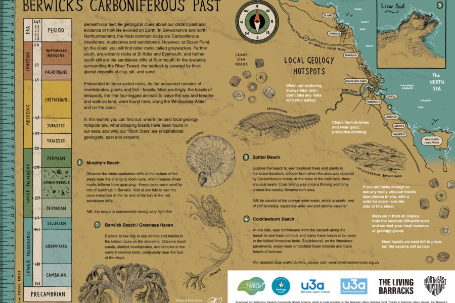 Berwick’s Carboniferous Past – Rock Stars Leaflet