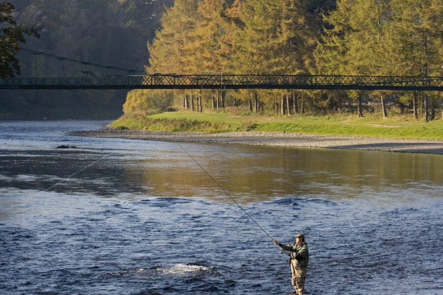 Tales From the River Bank