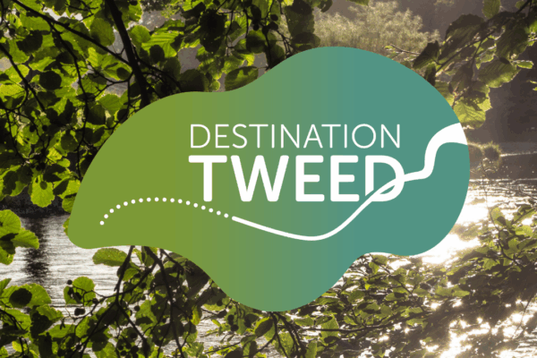 Tackling pollution in the 1960s