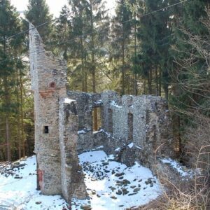 Torwoodlee Tower, surrounded by tall conifer trees, with snow on the ground