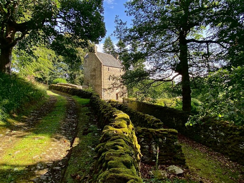 Whytbank Tower Survey