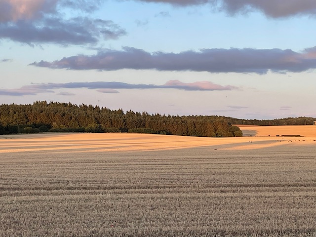 Bountiful Berwickshire