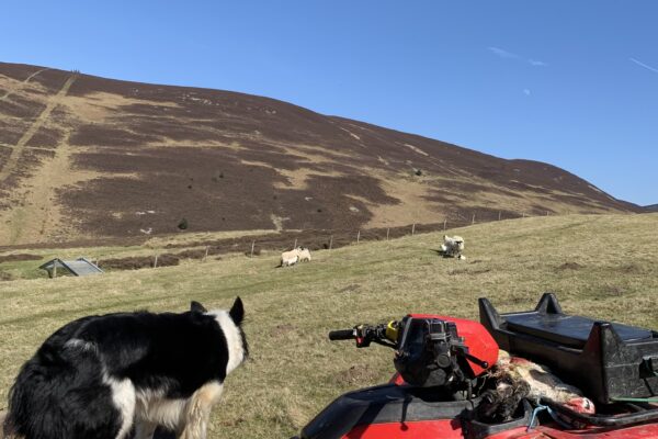 Favourite Place to Work