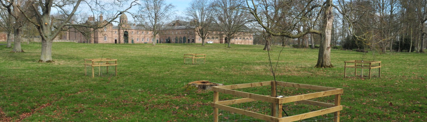 Designed Landscapes – Ladykirk Estate