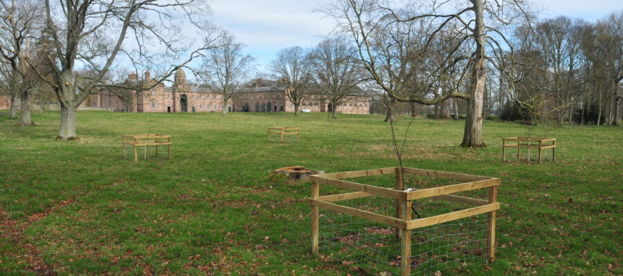 Designed Landscapes – Ladykirk Estate