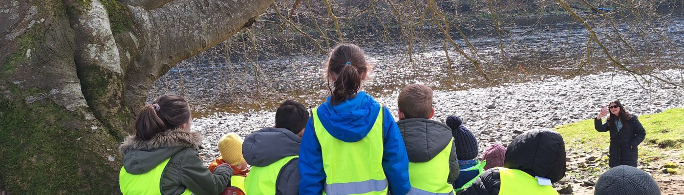 Enhancing John Muir Award Experiences