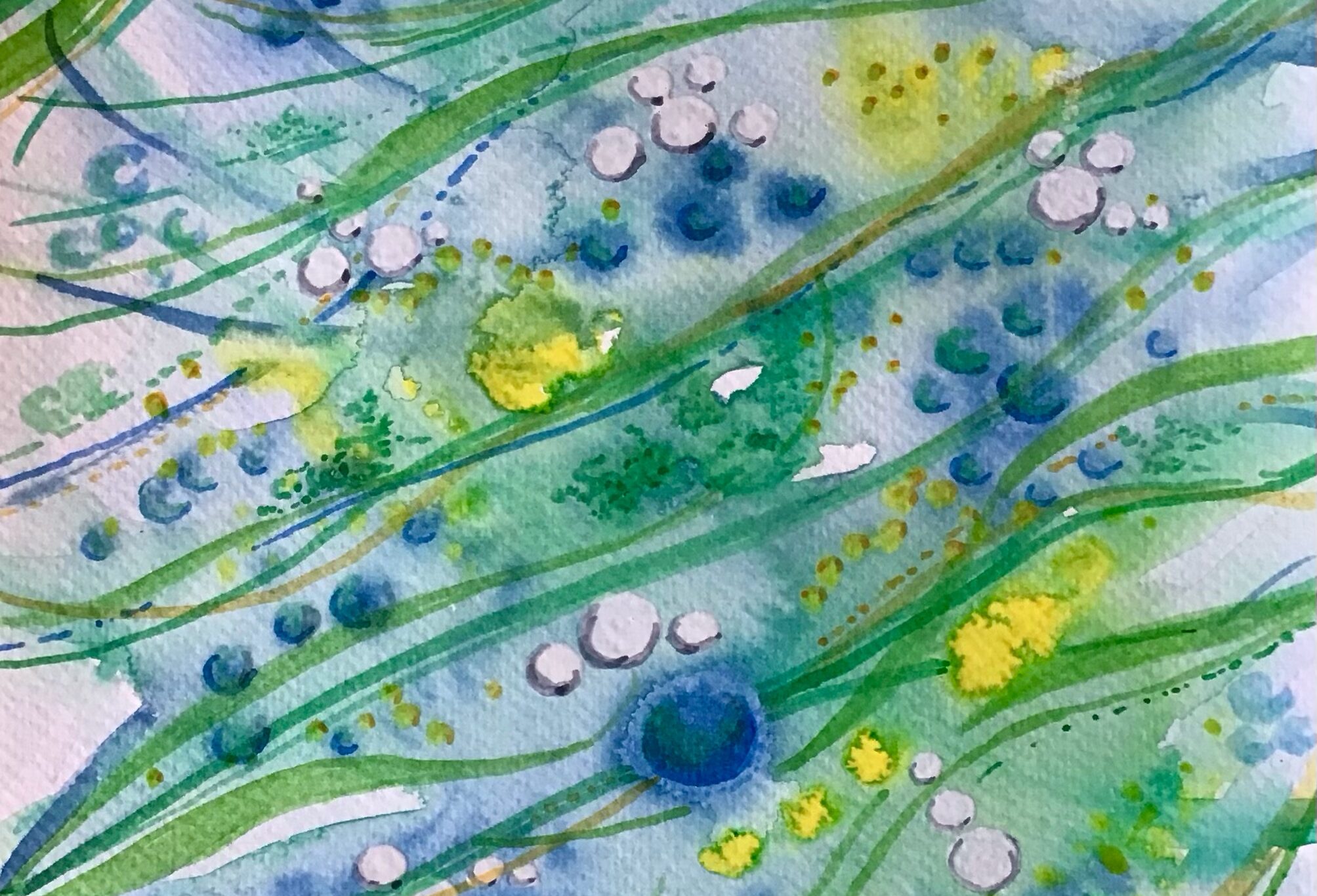 Water Colours