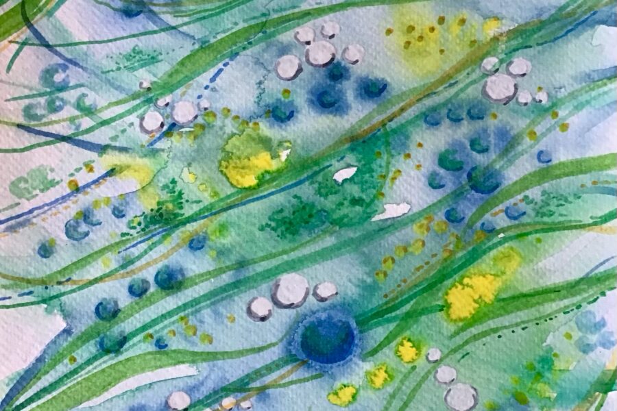 Water Colours