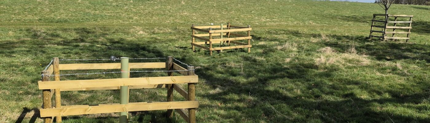 Designed Landscapes – Makerstoun Estate