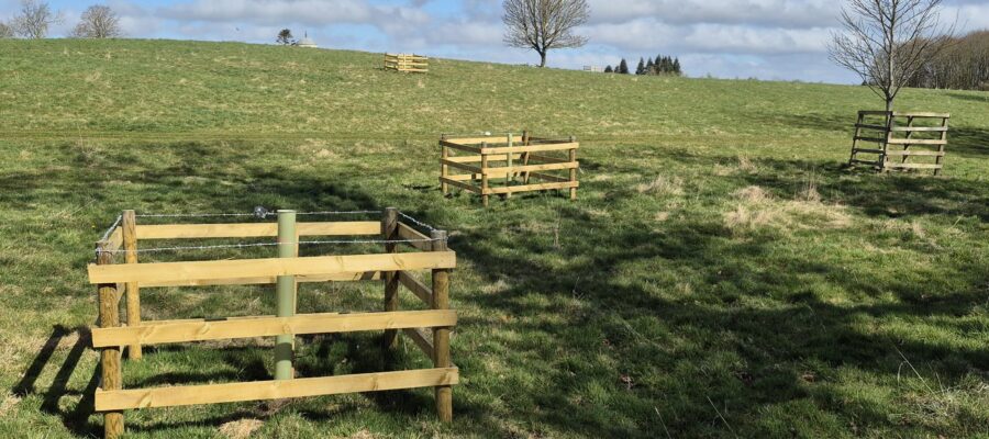 Designed Landscapes – Makerstoun Estate