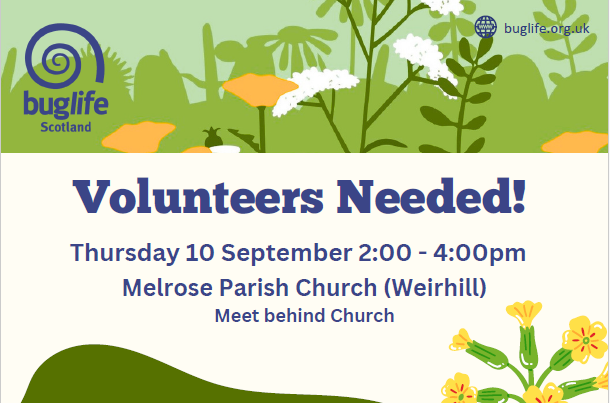 Melrose Cowslip Planting