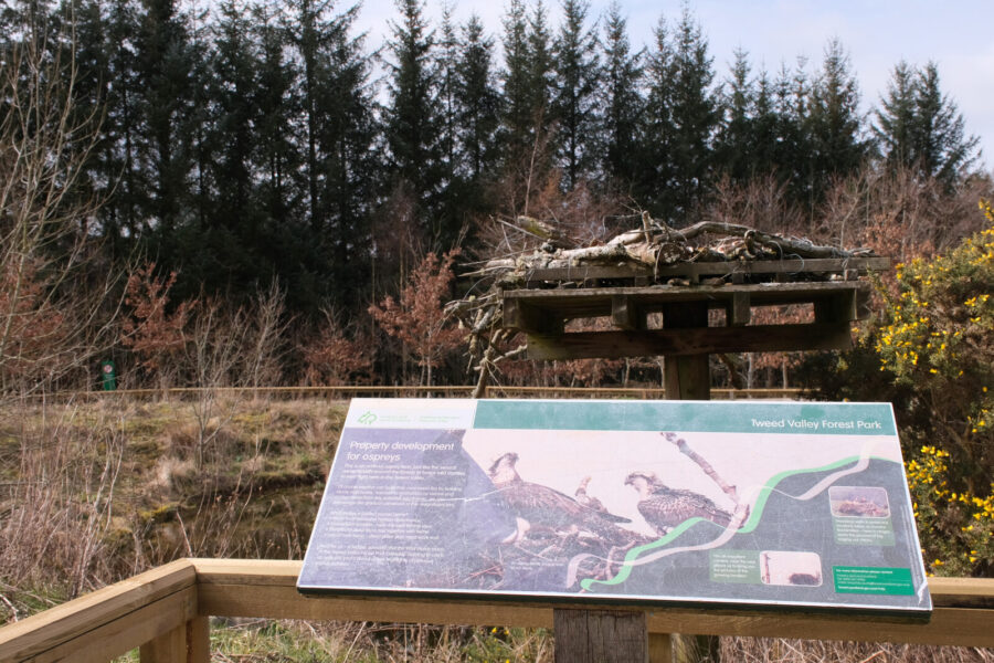 The Tweed Valley Osprey Project