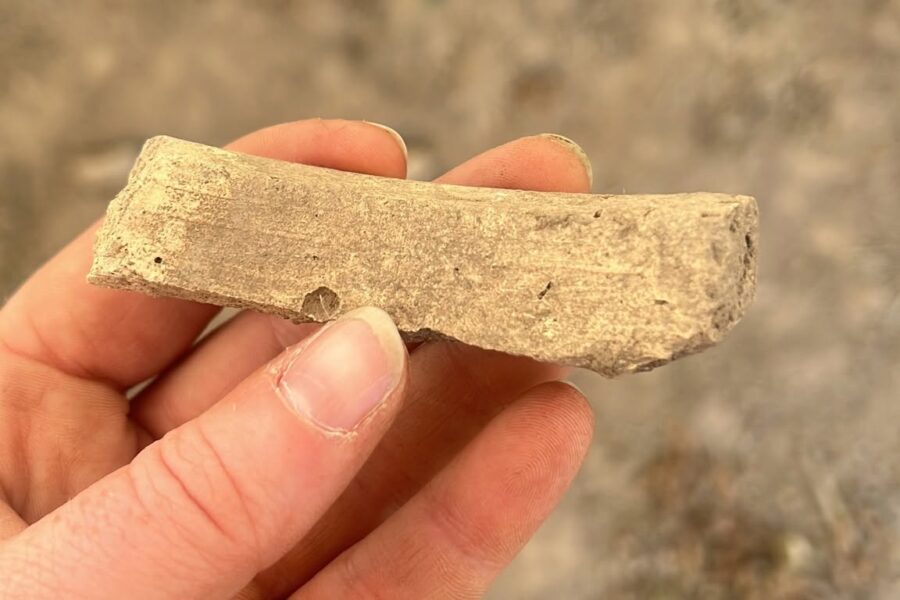 Sherds of Time: Archaeological Ceramics Workshop, Newtown St Boswells