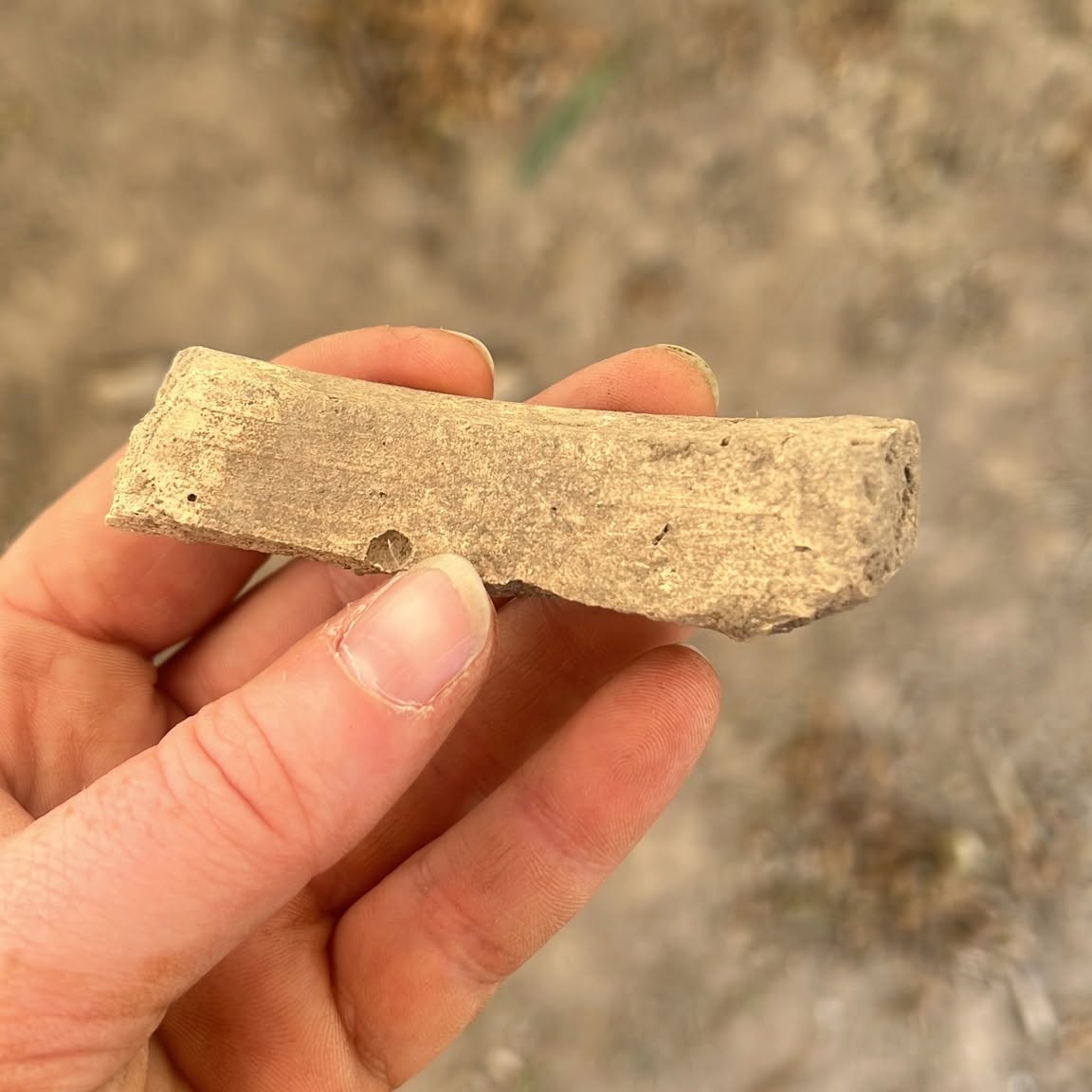 Sherds of Time: Archaeological Ceramics Workshop, Biggar