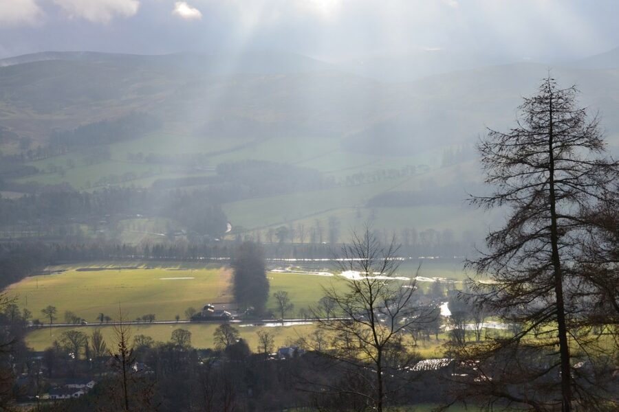 Tweed Valley forest adventures